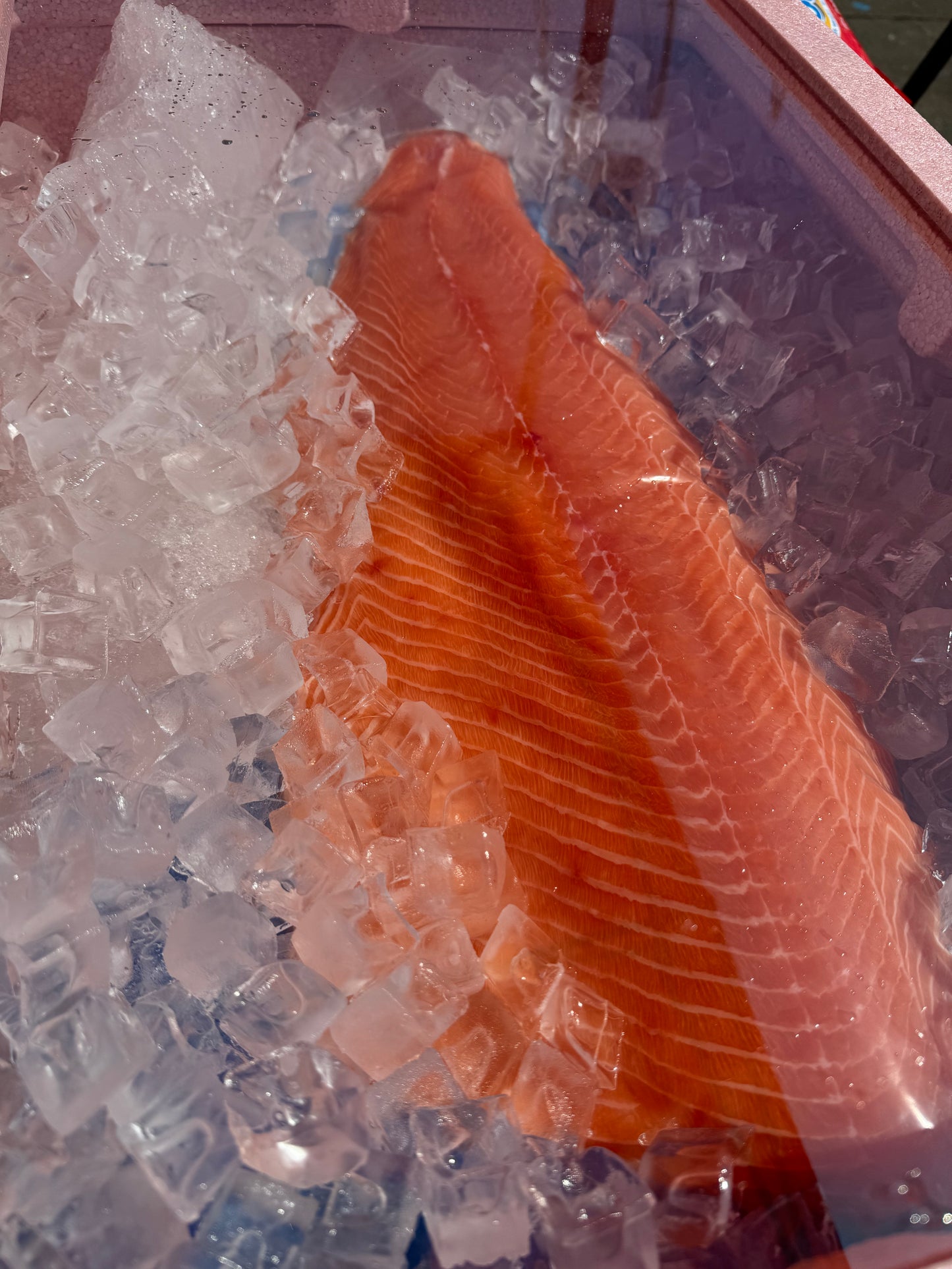 Norway Fresh Salmon 2kg