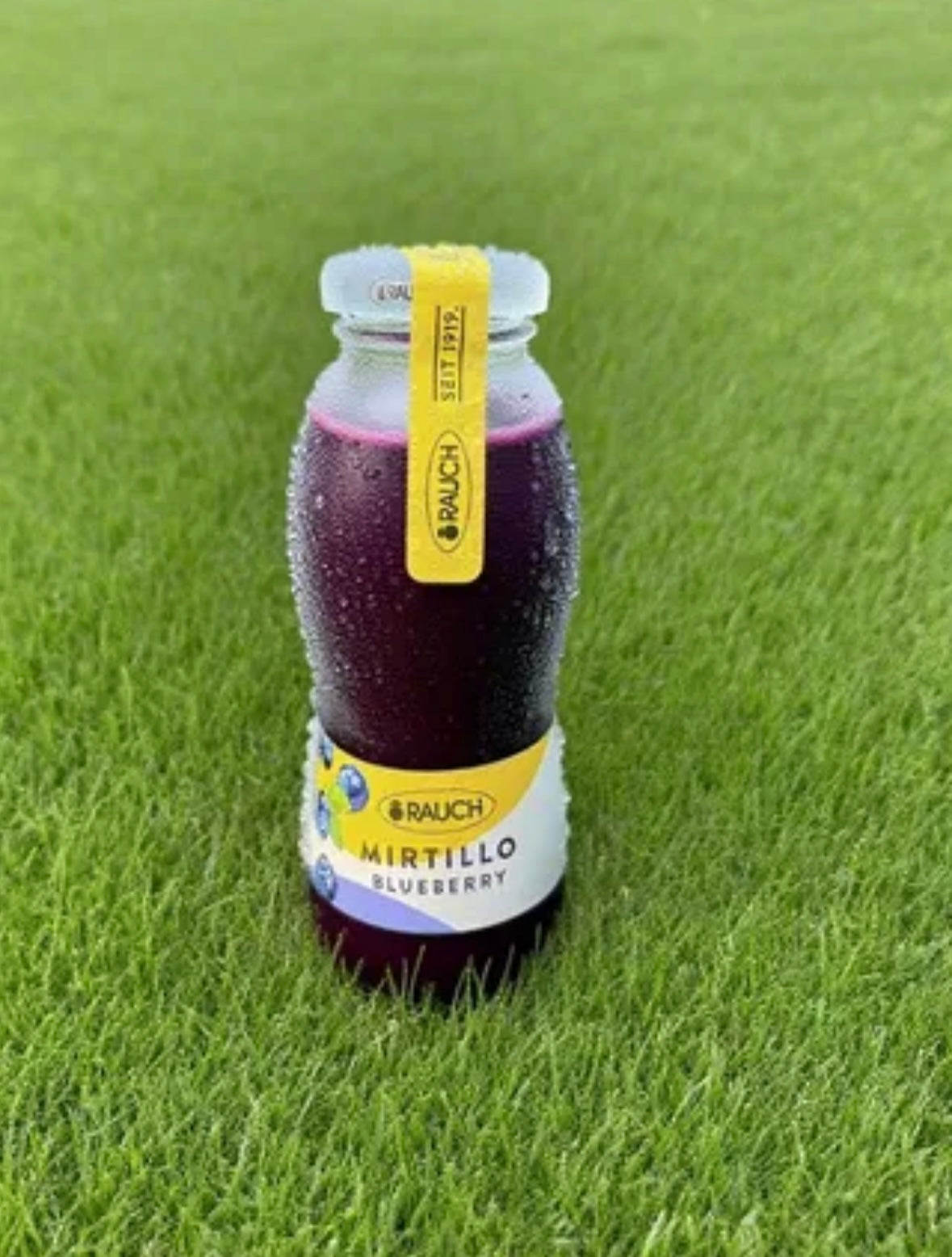 Rauch Blueberry Juice