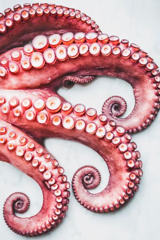 Seafood