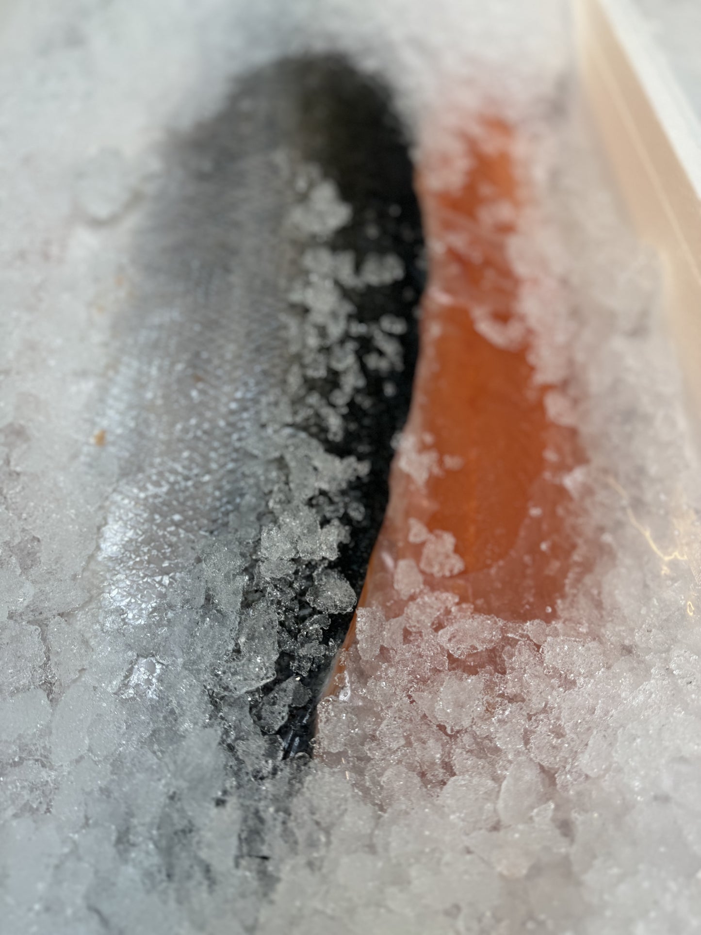 Norway Fresh Salmon 2kg