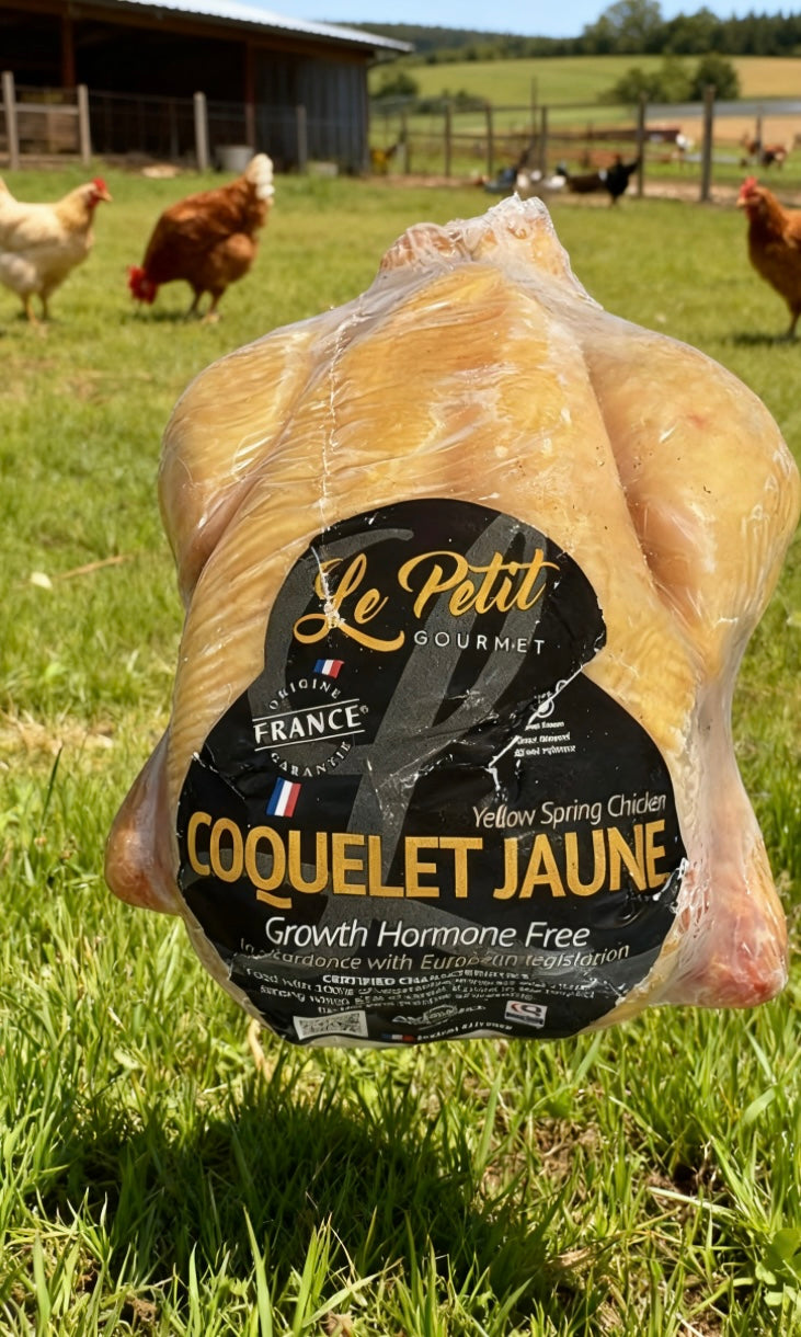 Le Petit Coquelet Jaune