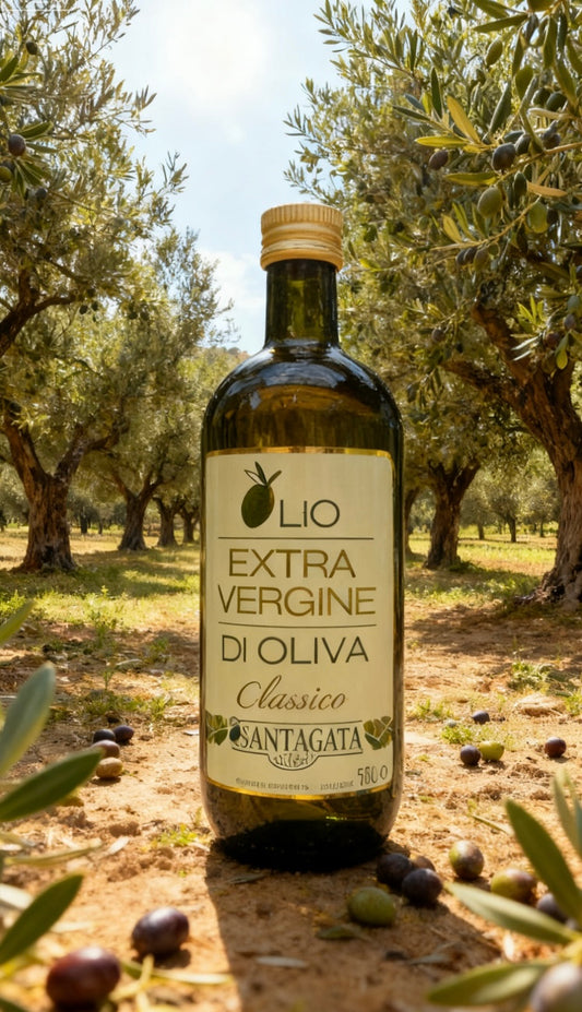 Santagata OLIO Extra vergine Olive Oil