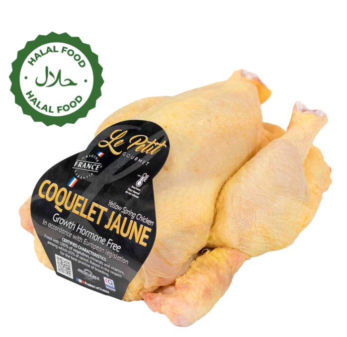 Le Petit Coquelet Jaune